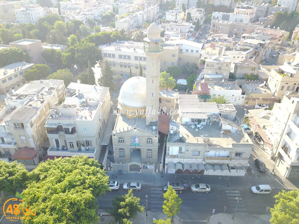 jamal basha tsterre (25).JPG